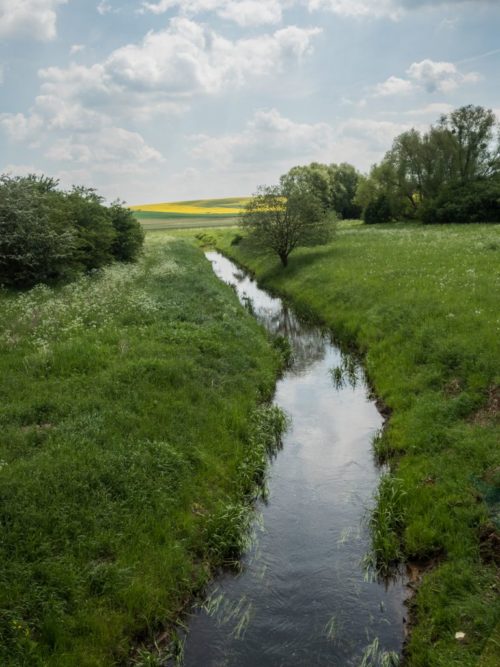 Der Allerlauf bei Wefensleben.