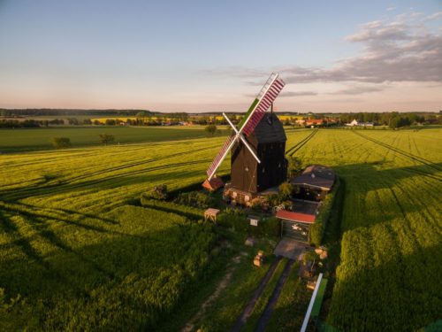 Windmühle bei Eimersleben.
