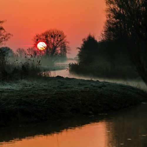 Sonnenaufgang im Allerpark