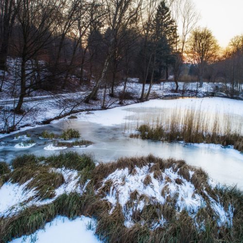 Clarabadteich mit Eisdecke